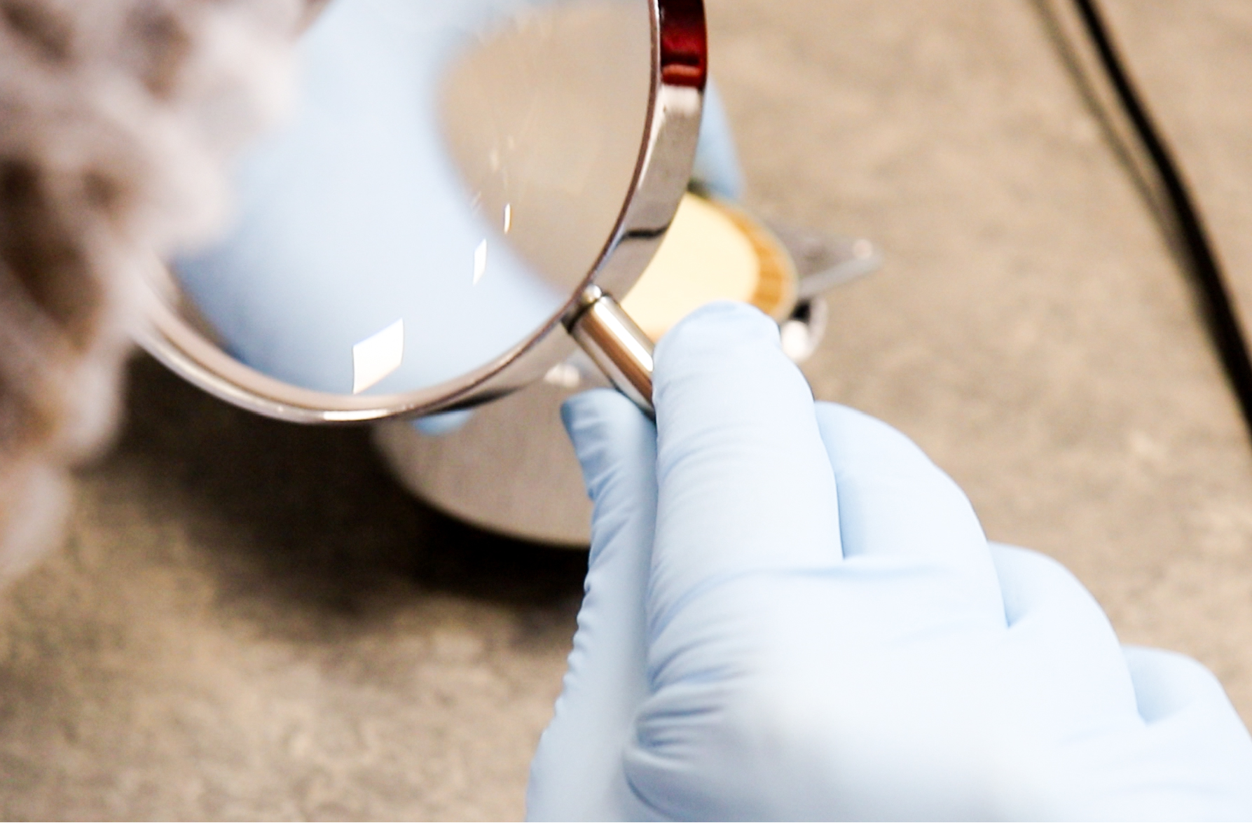 Custom testing solutions